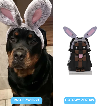 KlocuszkiMiłości